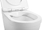 Унитаз подвесной SOLE STEP с сиденьем микролифт