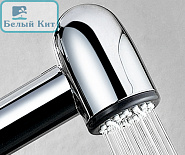 Лейка гигиеническая Wasserkraft A043 хром
